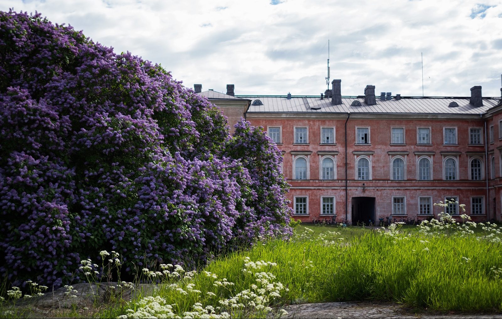 Asuintalo Suomenlinnassa kuva Aino Heininen 13 e1665060197910