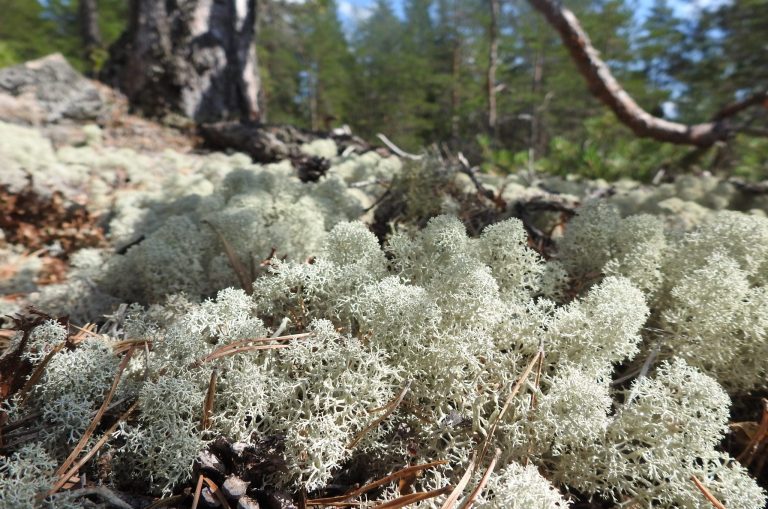 DSCN1612 2 scaled e1629800734835