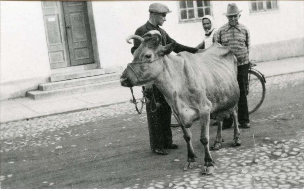 Vanha Rauma ja karja