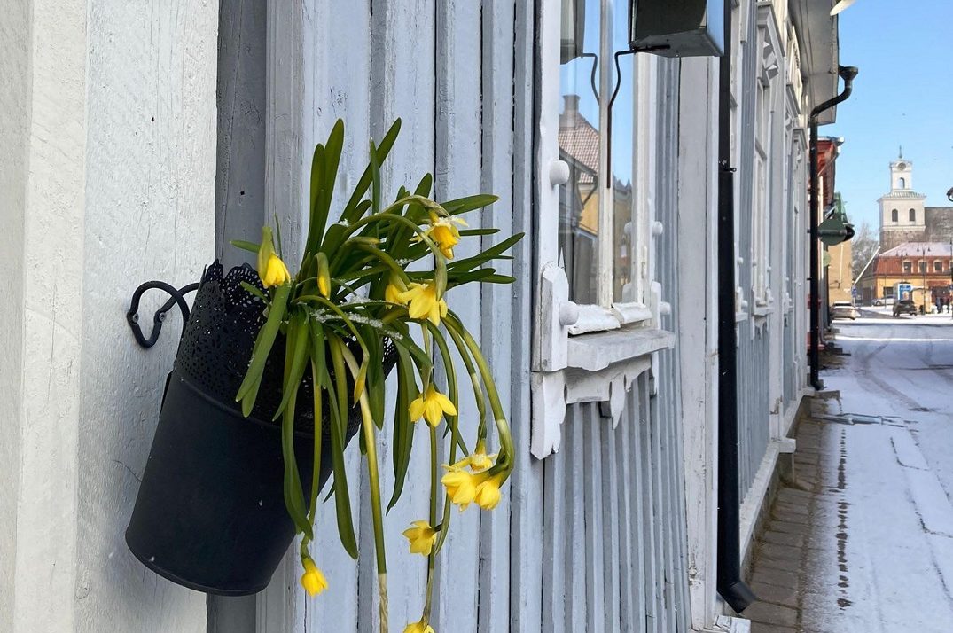 Vanha Rauma kevat kuva Aino Koivukari 1 e1648810553792